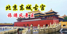 可以免费看的黄片操逼好爽中国北京-东城古宫旅游风景区